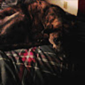 Meet your Posher, William